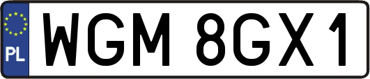 WGM8GX1