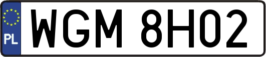 WGM8H02