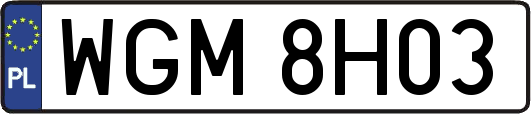 WGM8H03