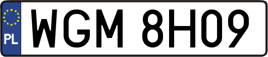 WGM8H09