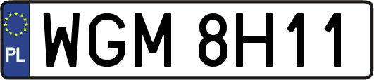 WGM8H11