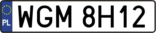 WGM8H12