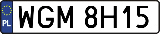 WGM8H15
