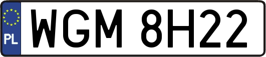 WGM8H22