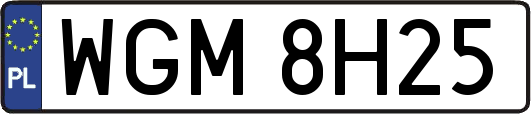 WGM8H25
