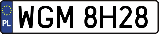 WGM8H28