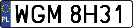 WGM8H31
