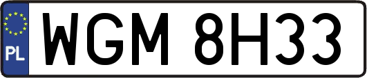 WGM8H33