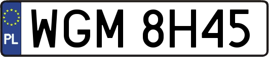 WGM8H45