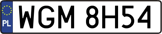 WGM8H54