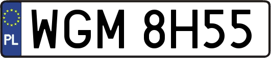 WGM8H55