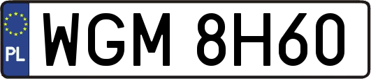 WGM8H60