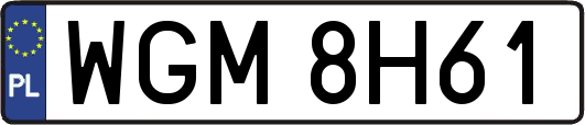 WGM8H61