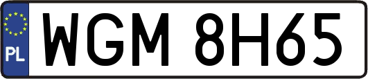 WGM8H65