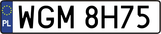 WGM8H75