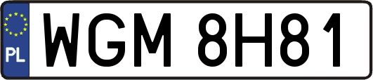 WGM8H81