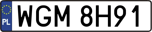 WGM8H91