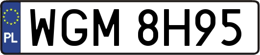 WGM8H95