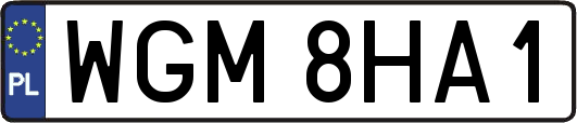 WGM8HA1