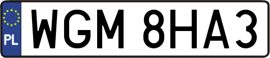 WGM8HA3