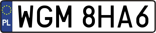 WGM8HA6