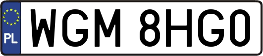 WGM8HG0