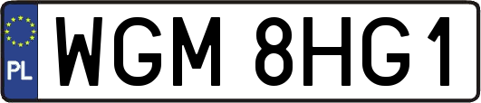WGM8HG1