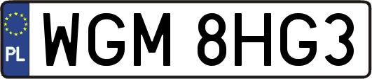 WGM8HG3