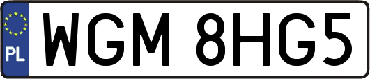 WGM8HG5