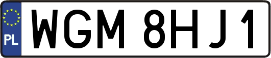WGM8HJ1