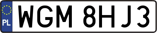 WGM8HJ3