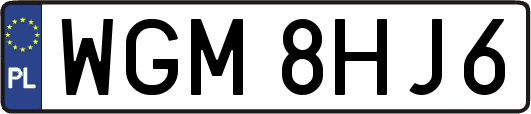 WGM8HJ6