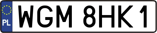 WGM8HK1
