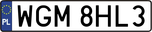 WGM8HL3