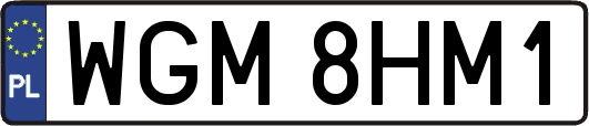 WGM8HM1