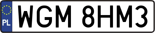 WGM8HM3
