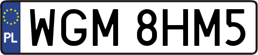 WGM8HM5