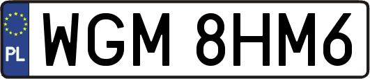 WGM8HM6