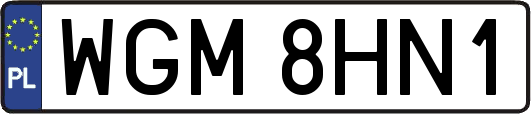 WGM8HN1