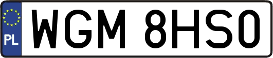 WGM8HS0