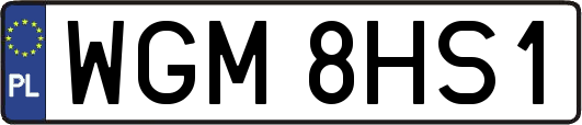WGM8HS1