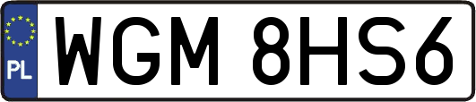WGM8HS6