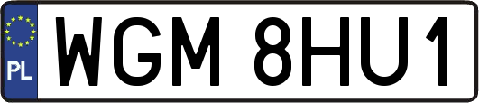 WGM8HU1