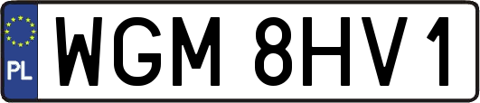 WGM8HV1