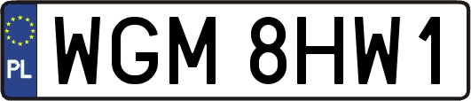 WGM8HW1