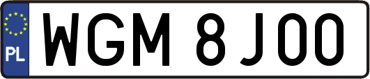 WGM8J00
