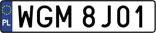 WGM8J01