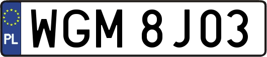 WGM8J03