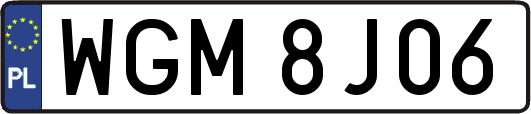 WGM8J06