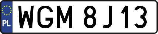 WGM8J13